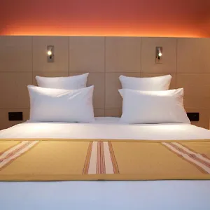 Hotel Nash Airport Meyrin